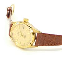 Orologio Sector No Limits Donna Cormoran in Oro 2020 - 2020